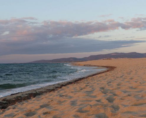 sandstrand, kitesurfen, kiteschule, sardinien